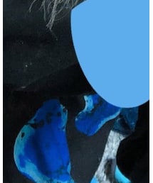 ACDC RAG | スカート