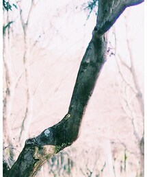 CLIPPER CASUALS | ニットキャップ/ビーニー