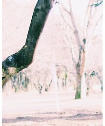 GU | スウェット