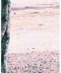 Charpentier de Vaisseau | スカート