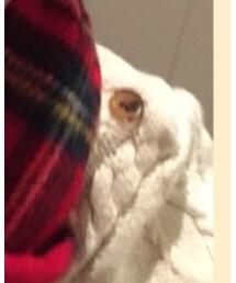 GAP | ニット/セーター