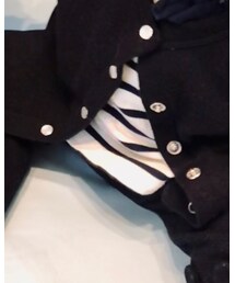 PETIT BATEAU | Tシャツ/カットソー