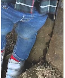 TOMMY HILFIGER | デニムパンツ