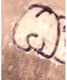 UNIQLO | トップス