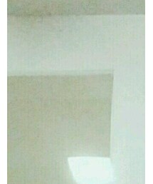 STUSSY | Tシャツ/カットソー