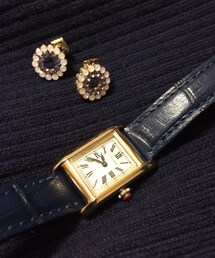 アクセサリー(ピアス（両耳用）)