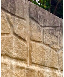 WEGO | デニムジャケット