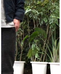 UNIQLO | その他パンツ