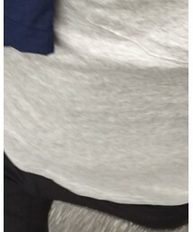 Champion | Tシャツ/カットソー