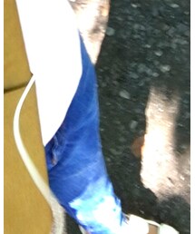 ZARA | デニムパンツ