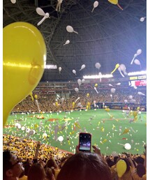 鷹の祭典 ソフトバンクホークス | その他