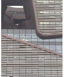 Champion | Tシャツ/カットソー