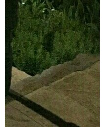 AIR JORDAN | スニーカー