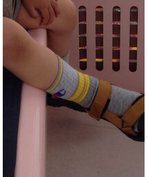 Champion | ソックス/靴下