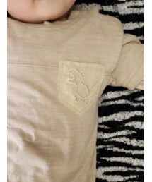 しまむら | Tシャツ/カットソー