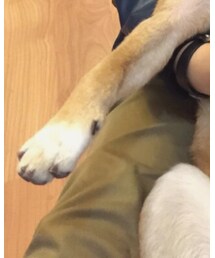 PULL&BEAR | チノパンツ