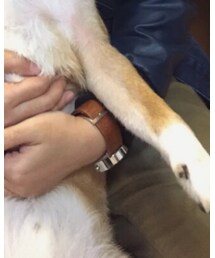 ISSEY MIYAKE | アナログ腕時計