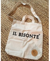 IL BISONTE | 2016年に発売されたイルビゾンテムック本の付録トート。カジュアルコーデなら合わせやすいシンプルなトート。(トートバッグ)