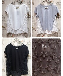 Paradise Picnic | Tシャツ/カットソー