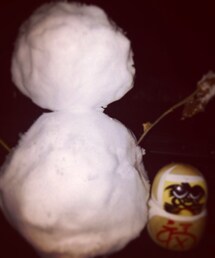 UNUSED | ゆきだるまとだるま(その他アウター)