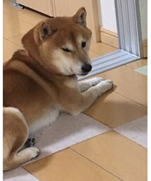 ごんじ | 頰肉がたまらない(その他)