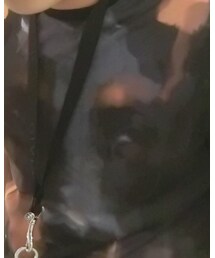 GIVENCHY | Tシャツ/カットソー