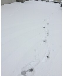 私の足跡 | その他