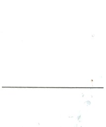 NEW ERA | キャップ