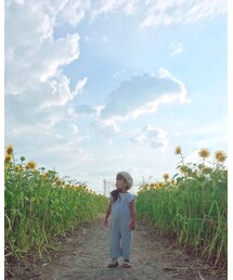 ひまわり🌻 | その他