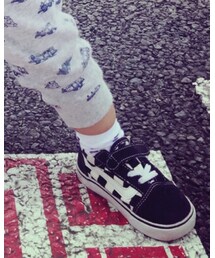 TOMMY HILFIGER | ソックス/靴下