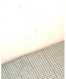 ELVIRA | Tシャツ/カットソー