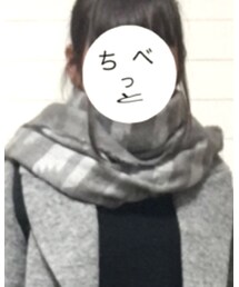 GU | マフラー