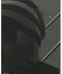 Vivienne Westwood | ニットキャップ/ビーニー