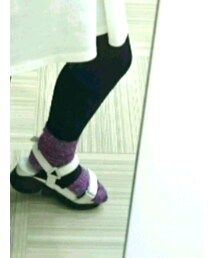 Tabio | ソックス/靴下