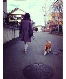 ずっといっしょさ！(その他)