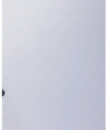 LE VERNIS | かごバッグ