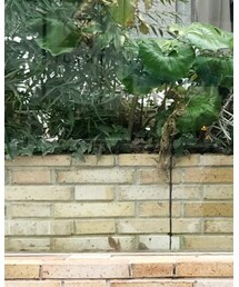 GARAGE OF GOOD CLOTHING | トレンチコート