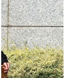 L'ATELIER FENETRE | パンツ