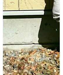 UNIQLO | スウェットパンツ(その他パンツ)