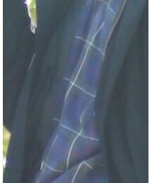 used | ラルフローレンの開襟シャツ(シャツ/ブラウス)