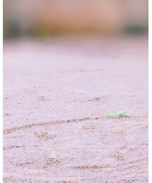 apres les cours | ジャケット/アウター