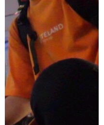 WHITELAND | Tシャツ/カットソー