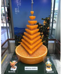 愛媛に来ています。 | その他