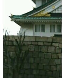 大阪城公園 | その他