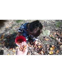 UNIQLO | トップス