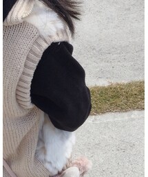 UNIQLO | パーカー