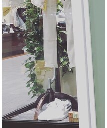 AVIREX | シャツ/ブラウス