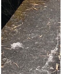 guochao | カーディガン/ボレロ