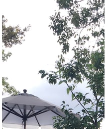 TOMORROWLAND  | ハット