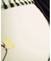 ZARA | Tシャツ/カットソー